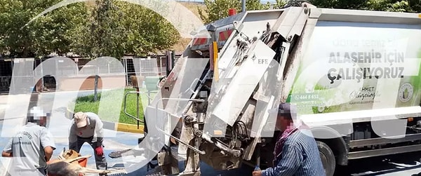 Alaşehir'de Köpek Katliamı İddiası ve Cesetlerin Çöp Arabasına Atılması