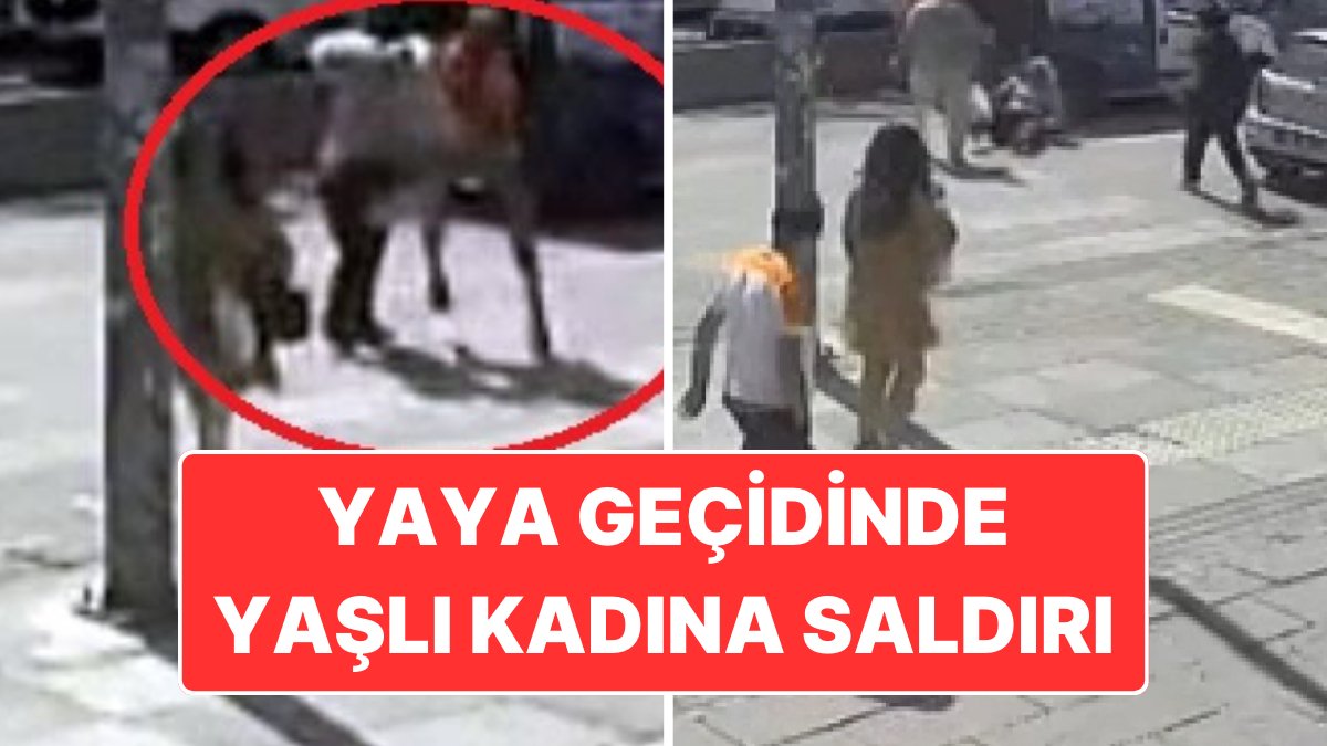 Ankara’da Yaya Geçidinde Yaşlı Kadına Saldırı