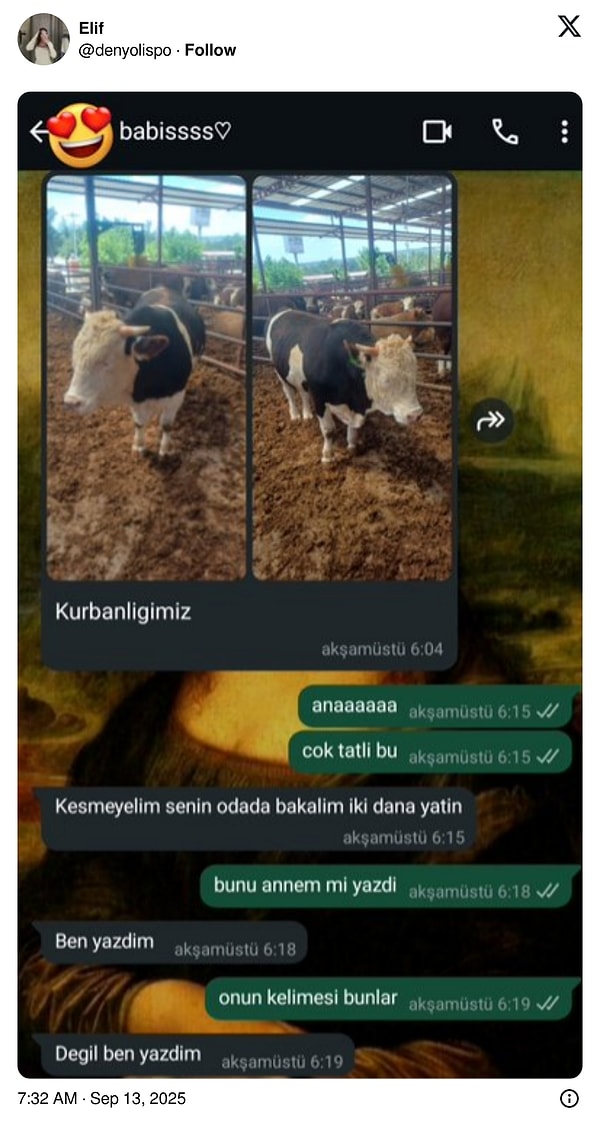 Anne Babalarının Zorba Mesajlarını Paylaşıp Acınacak Hallerine Kahkaha Atan Ünlü Mizahçıları Keşfet!