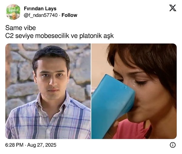 Aşk-ı Memnu ile Yaprak Dökümü: Farklı Diziler Olmalarına Rağmen Benzer Karakterlere Sahipliklerinin Kanıtları
