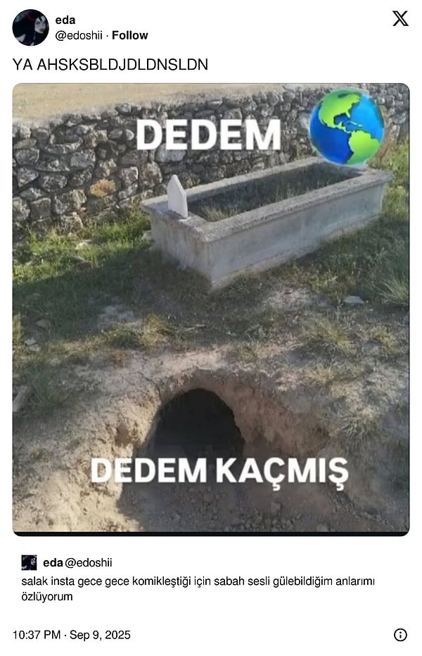 Beklenmedik Postlardan Doğuştan Süslülere: Son 24 Saatin Viral Tweetleriyle Gülmeye Hazır mısın?