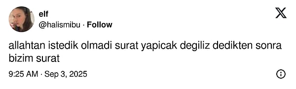 Beş Karış Surat, Yüzünü Açıktan Güler: Hislerini Yansıtan Şasan Kedilerle Eğlence Dolu Anlar!