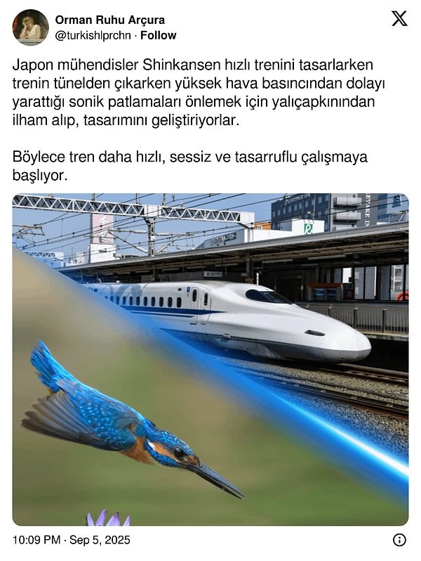 Bilinmeyeni Fısıldayanlar: Genel Kültür Şovu Yapanlar, Akımın İçinde Eğlenceyi Keşfediyor!