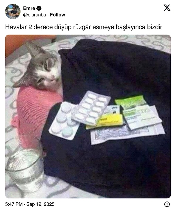 Bitmeyen Baba Zorbalığından Uzun Süredir İzlediği Dizi Bitince Boşluğa Düşen Son 24 Saatin Viral Tweetleri: Şaşırtıcı Bir Aksiyon Macerası!