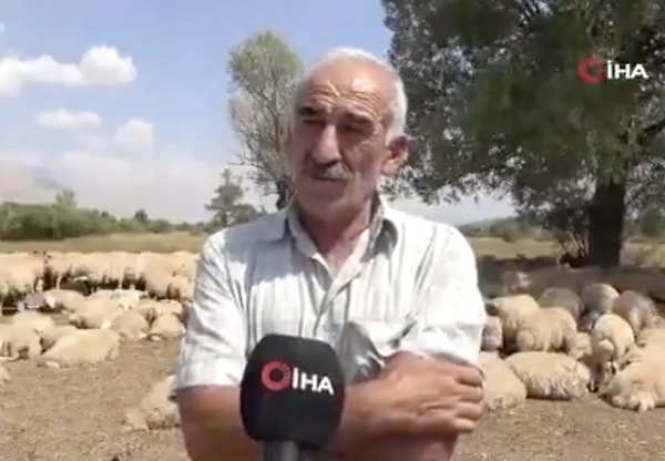 Çoban Krizi: 130 Bin TL Maaşa Rağmen İşçi Bulunamıyor