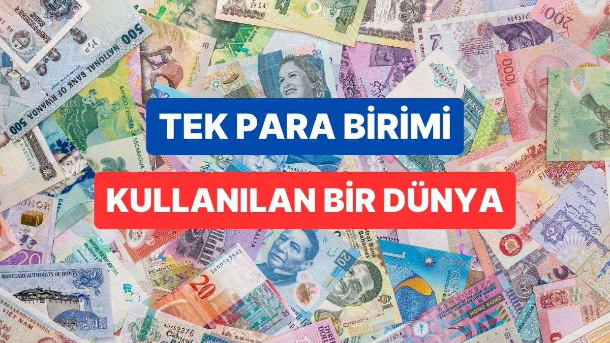 Dünya Tek Para Birimine Geçerse Ne Olur?