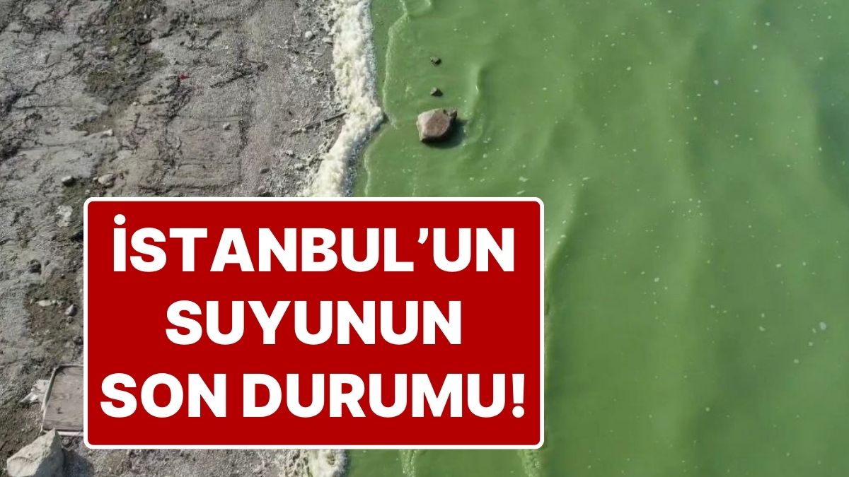 Durugöl Balaban Kıyısı Yeşile Büründü: İstanbul’un Önemli İçme Suyu Kaynağı