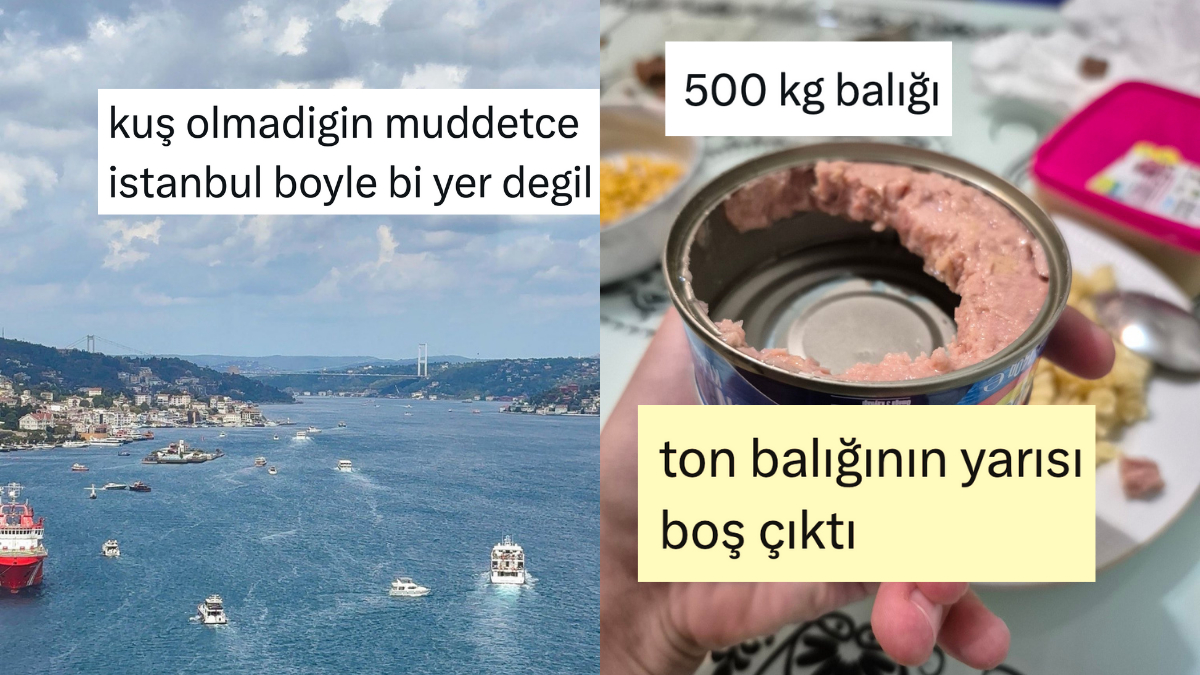 Gerçek İstanbul’dan Ton Balığının Yarısına: Son 24 Saatin Viral Tweetleriyle Şahit Ol, Gülmekten Balığın Kıçık Düşüyor!