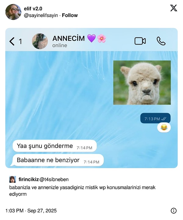 Geyiğe Göpüşenlerden Hediyelik Kınaya: Son 24 Saatin Viral Tweetleriyle Başımız Belada mı? (Turkish Fun Rebrand)