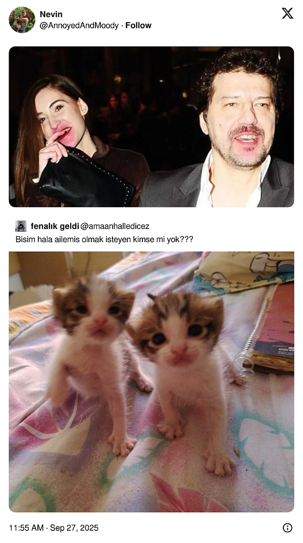 Geyiğe Göpüşenlerden Hediyelik Kınaya: Son 24 Saatin Viral Tweetleriyle Başımız Belada mı? (Turkish Fun Rebrand)