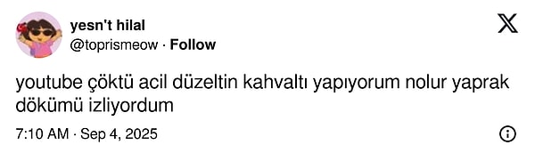 Google’ın Çöküşüyle Büyük Boşluğa Düşenler Çareyi Goygoy’da Eğlenceyle Buldu: Dijital Kriz Zamanında Komik Kaçış!
