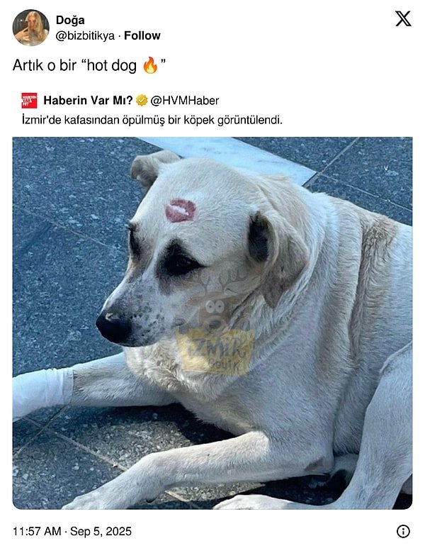 Haftanın En Komik Yemek Tweetleri: Yemek Paylaşımlarıyla Hepimizi Mizah Dolu Sofra!