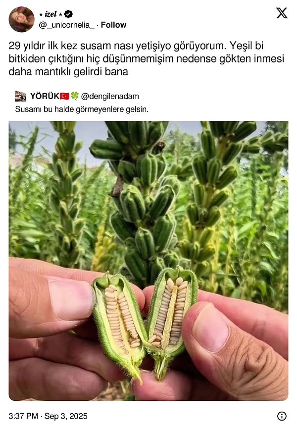 Haftanın En Komik Yemek Tweetleri: Yemek Paylaşımlarıyla Hepimizi Mizah Dolu Sofra!