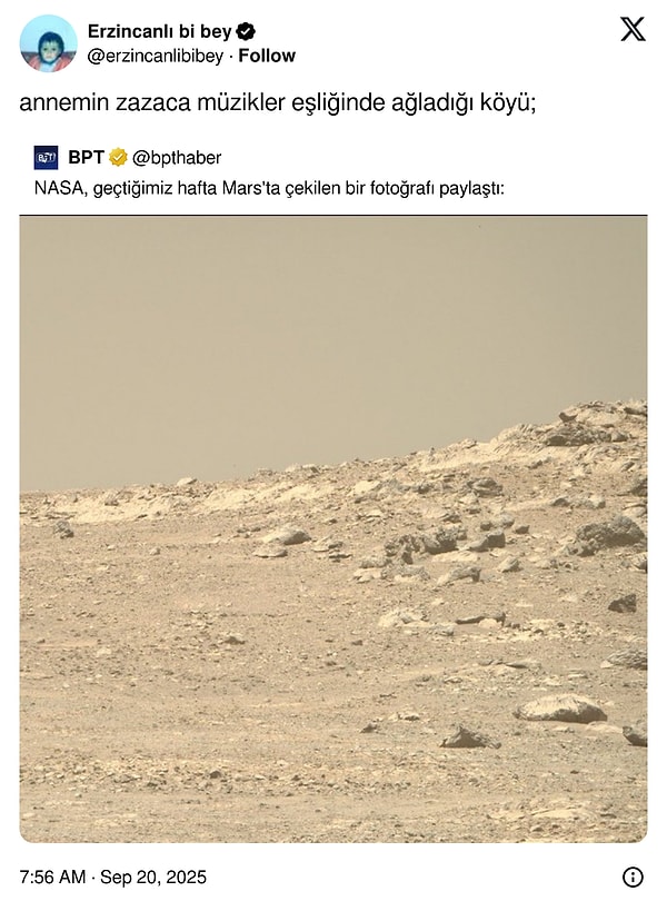 Her Ne Yapıyorsan Bırak, Okumaya Başla: Haftanın En Komik Tweetleriyle Gülmekten Kitaplara Dal!
