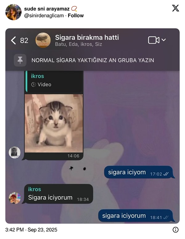 İletişim Avcıları: Komik Mesajlaşmalarla Verimini Maksimize Edenler