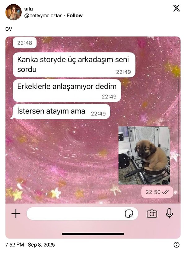 İletişimde Maksimum Verim İçin En Komik Mesajlaşmalarla Şaşırtanlar: Gülmek Garantili Yankılar