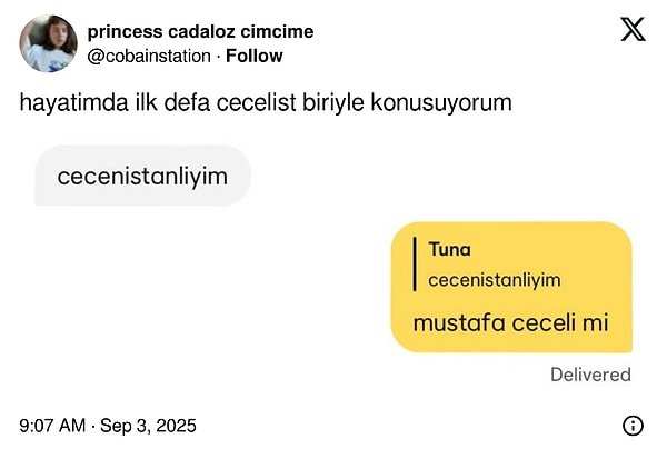 İletişimde Maksimum Verim İçin En Komik Mesajlaşmalarla Şaşırtanlar: Gülmek Garantili Yankılar