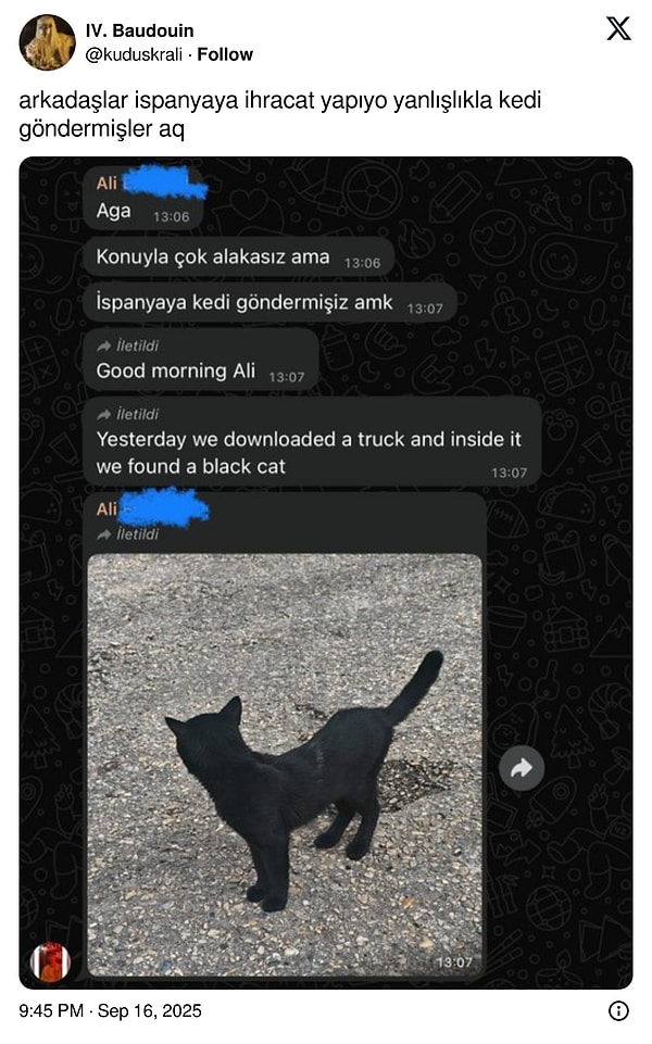 İletişimde Zirve: Komik Mesajlaşmalarla Verimliliği Maksimize Edenler!