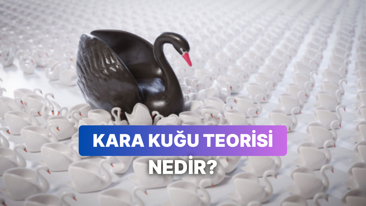 Kara Kuşu Teorisi Nedir ve Ekonomide Sonuçları