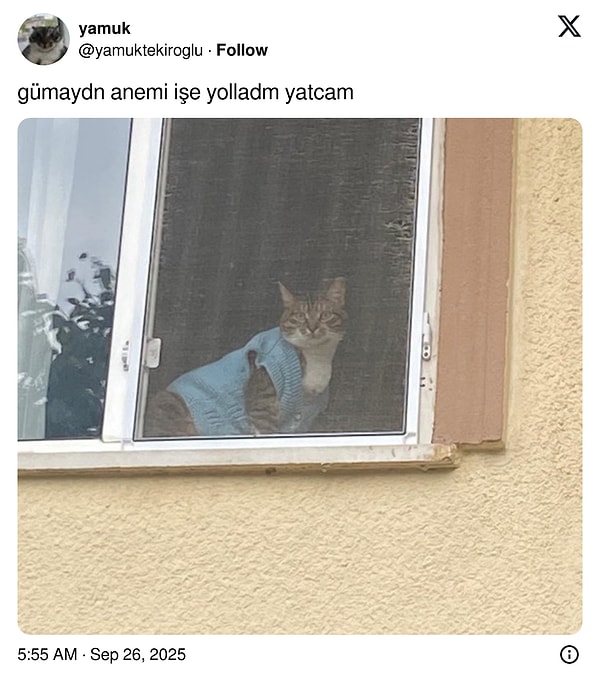 Kimin Ağzını Açtırtan Ürünler: Oda Arkadaşının Tuhaflıklarına Son 24 Saatin Viral Tweetleri!