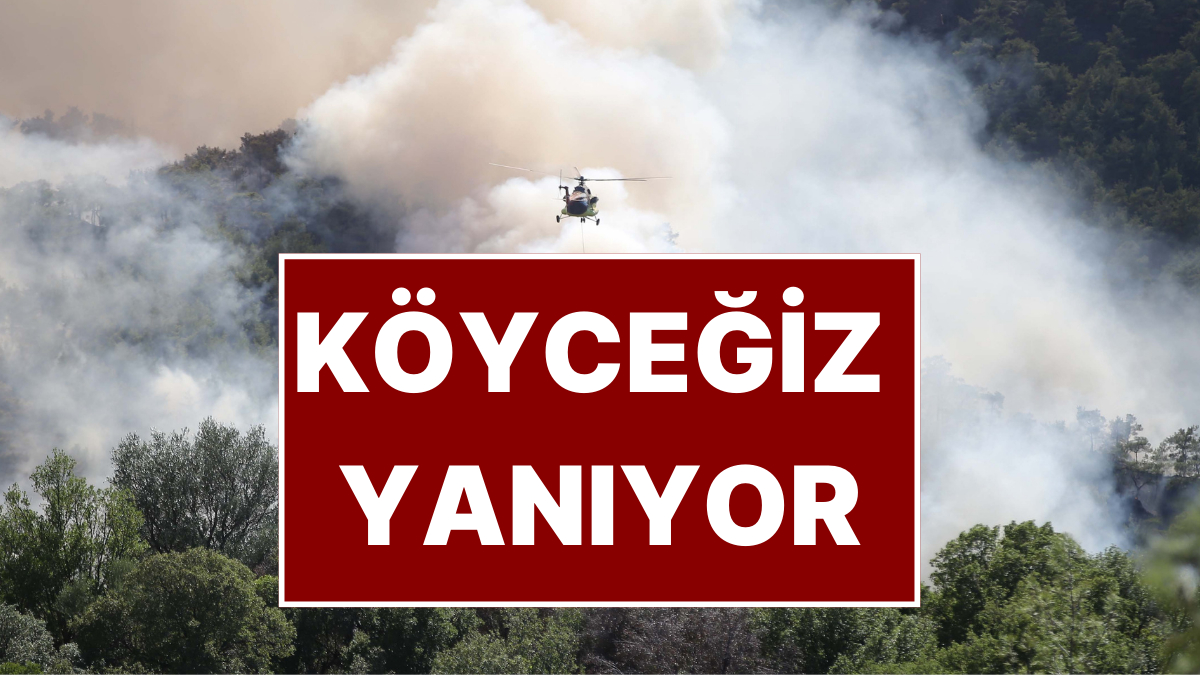 Köyceğiz’de Alevler: YüzlerceTahliye