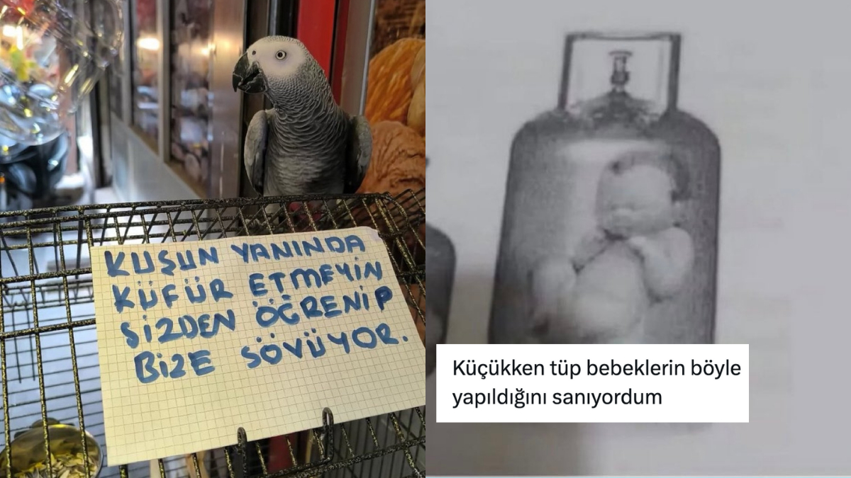 Küfürbaz Papağandan Çocukluğa Kadar: Son 24 Saatin En Olası Viral Tweetleriyle Zıpır ve Şaşırtıcı Bir Yolculuk!