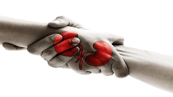 Organ Bağışında Yeni Dönem: E-Devlet ve E-Nabız ile Bağış