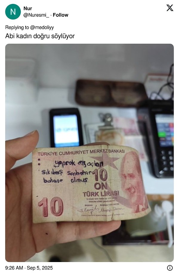 Paraya Yazılmış Hikayeler: Banknotların Üzerine Yazılan Yazılarla Mizah ve Hüznü Birleştiren Eğlenceli Ziyafet!