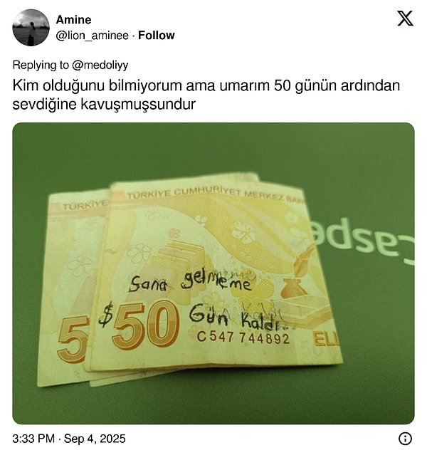 Paraya Yazılmış Hikayeler: Banknotların Üzerine Yazılan Yazılarla Mizah ve Hüznü Birleştiren Eğlenceli Ziyafet!