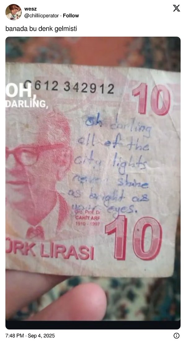 Paraya Yazılmış Hikayeler: Banknotların Üzerine Yazılan Yazılarla Mizah ve Hüznü Birleştiren Eğlenceli Ziyafet!