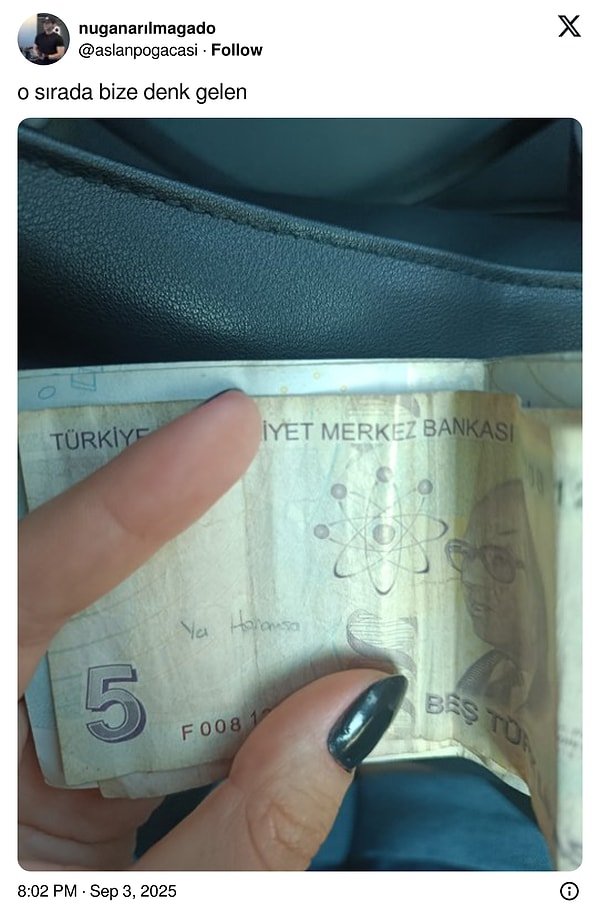 Paraya Yazılmış Hikayeler: Banknotların Üzerine Yazılan Yazılarla Mizah ve Hüznü Birleştiren Eğlenceli Ziyafet!