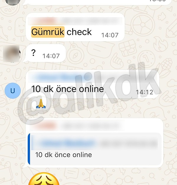 Pilotların Meziyetli Hostesler Grubunu İfşa Etmesi: Yeni Grup Ortaya Çıktı