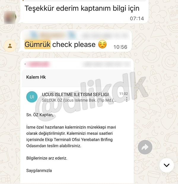 Pilotların Meziyetli Hostesler Grubunu İfşa Etmesi: Yeni Grup Ortaya Çıktı