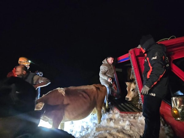 Rize’de Çığ Düşmesi: Mahsur Kalanlar ve Hayvanlar Kurtarıldı