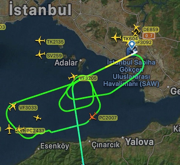 Sabiha Gökçen'de Kuş Alarmı: Uçaklar Pisti Pas Geçti, Havada Tur Attı