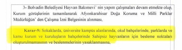 Sokak Hayvanlarına Bakım Yasaklandı: Valiliğe Tepkiler Büyüyor