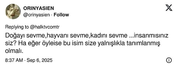 Sokak Hayvanlarına Bakım Yasaklandı: Valiliğe Tepkiler Büyüyor