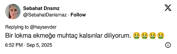 Sokak Hayvanlarına Bakım Yasaklandı: Valiliğe Tepkiler Büyüyor