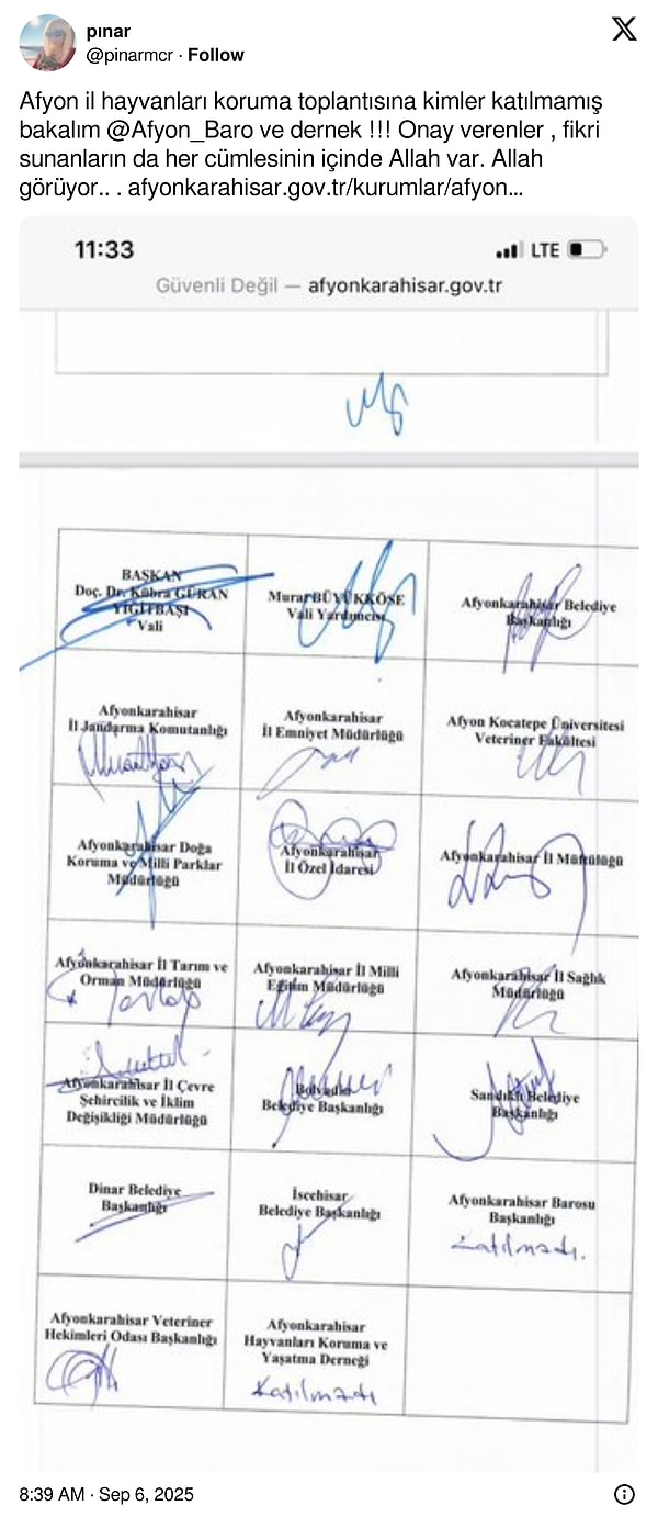 Sokak Hayvanlarına Bakım Yasaklandı: Valiliğe Tepkiler Büyüyor