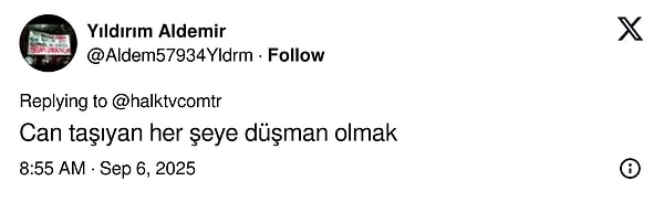 Sokak Hayvanlarına Bakım Yasaklandı: Valiliğe Tepkiler Büyüyor