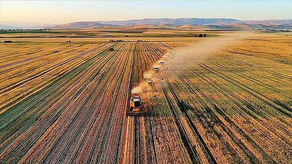 Türkiye Susuzluk Eşiğinde: Şehirler Susuz Kalırsa Ne Olur?