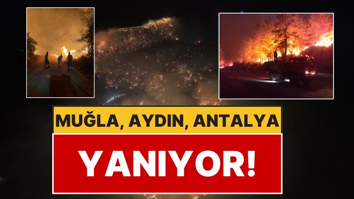 Türkiye’de Aynı Anda Pek Çok Orman Yangını: Muğla, Antalya, Aydın