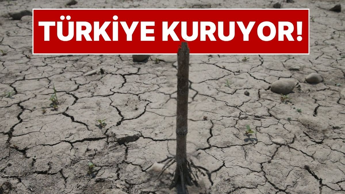 Türkiye’de Büyük Kuraklık Tehdidi: Barajlar Alarm Veriyor