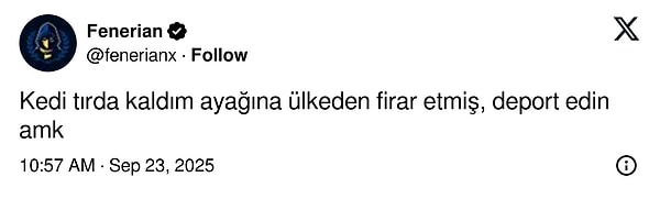 Türkiye'den İspanya'ya Giden Kedi Macerası: Yanlışlıkla Gösterişli Goygoy Malzemesi Oldu!