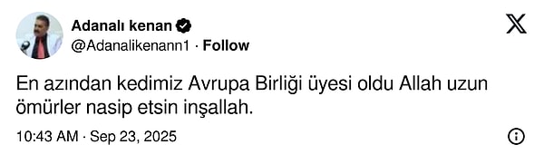 Türkiye'den İspanya'ya Giden Kedi Macerası: Yanlışlıkla Gösterişli Goygoy Malzemesi Oldu!