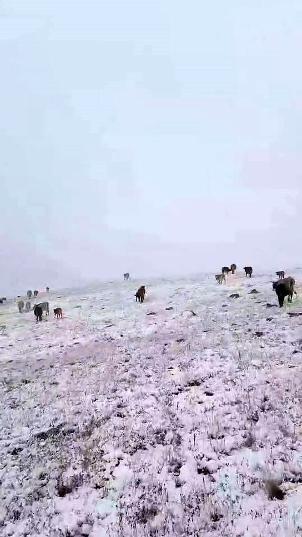 Türkiye’nin İlk Karı: Şaşırtan Beyaz sürprizli İlçe