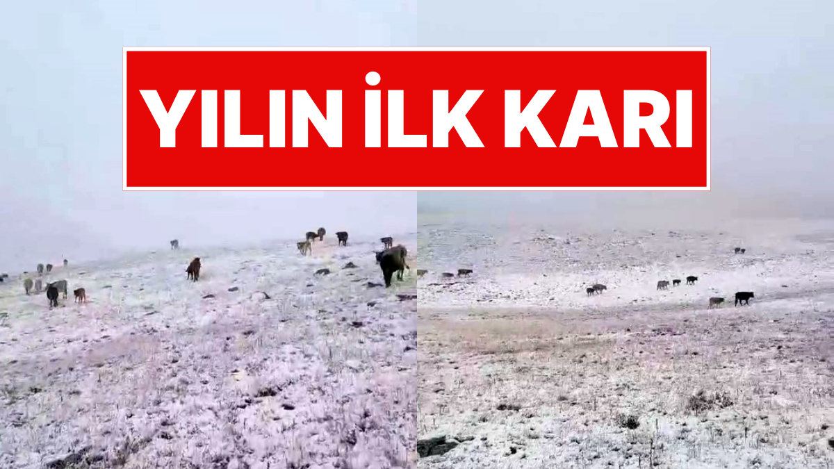 Türkiye’nin İlk Karı: Şaşırtan Beyaz sürprizli İlçe