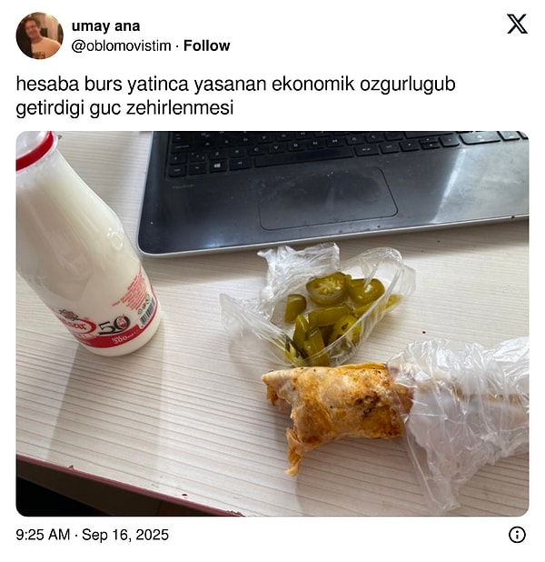 Uykuya Hücum Eden Komşuya Son 24 Saatin En Yılancı Viral Tweetleri: Anne Titizliğiyle Komik Anlar