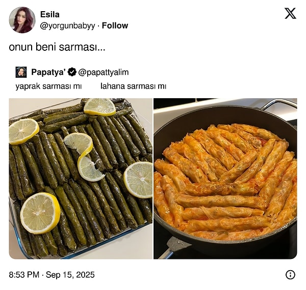 Uykuya Hücum Eden Komşuya Son 24 Saatin En Yılancı Viral Tweetleri: Anne Titizliğiyle Komik Anlar