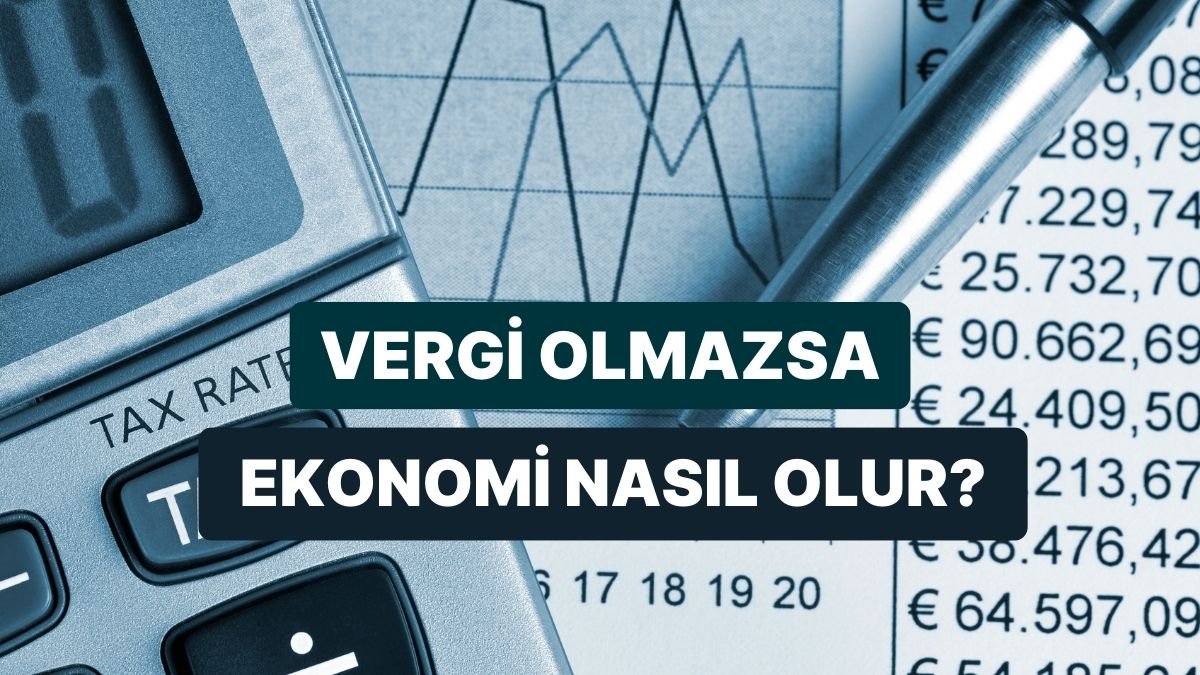 Yapay Zeka Yanıtlıyor: Vergiler Kalkarsa Ekonomi Nasıl Ayakta Kalır?